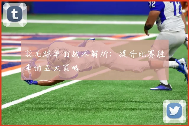 羽毛球单打战术解析：提升比赛胜率的五大策略